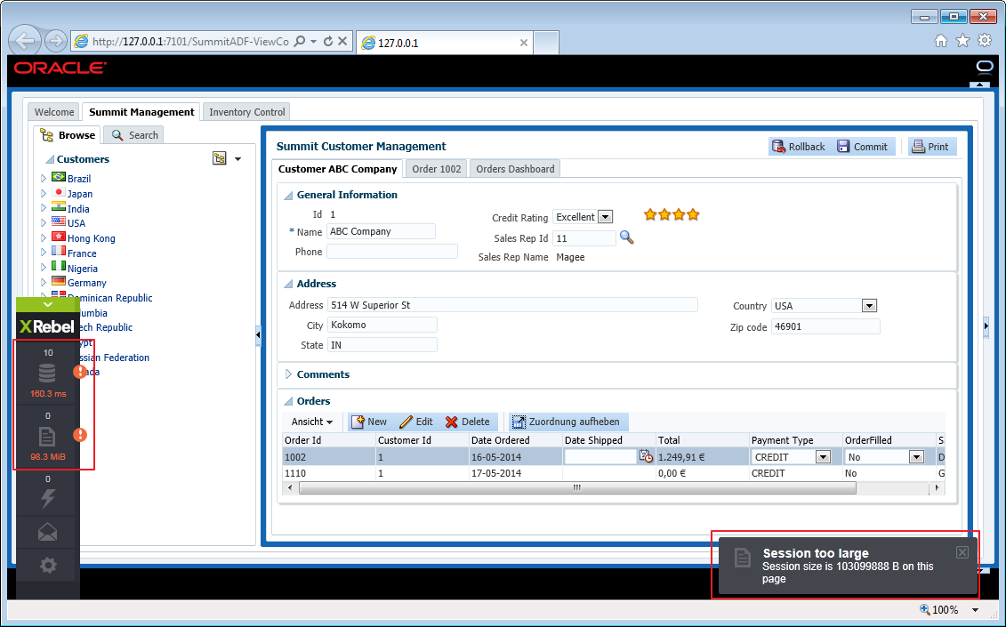 Find problems when you develop using XRebel with Oracle ADF   first issues are shown